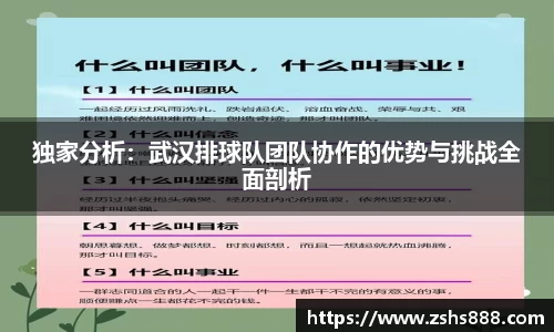 独家分析：武汉排球队团队协作的优势与挑战全面剖析