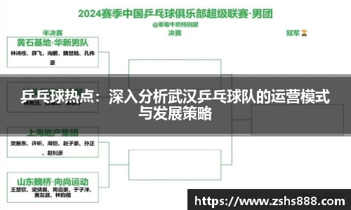 乒乓球热点：深入分析武汉乒乓球队的运营模式与发展策略