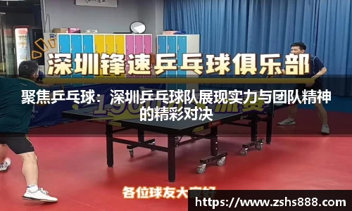 聚焦乒乓球：深圳乒乓球队展现实力与团队精神的精彩对决