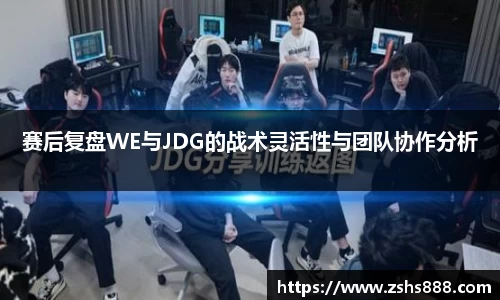 赛后复盘WE与JDG的战术灵活性与团队协作分析