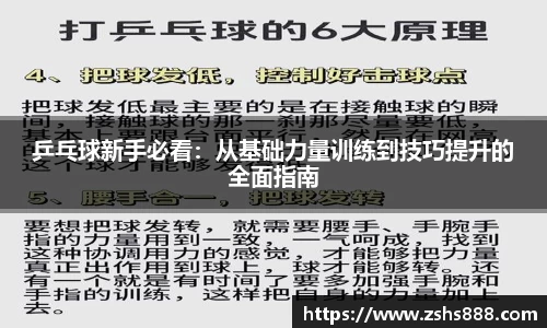 乒乓球新手必看：从基础力量训练到技巧提升的全面指南